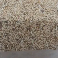 سبزی خورشتی