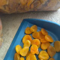 قیصی|خوردنی و آشامیدنی|آذرشهر, |دیوار