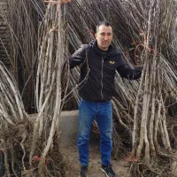 با ما باغی مدرن بسازید