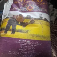 برنج جی تی سی هندی موجوده