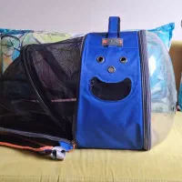 کوله گربه  و دو کیسه ۱۰ کیلویی خاک