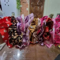 اسکرانچی متنوع درجه یک