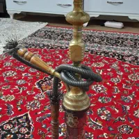 گرینچیک عروس هلندی طوطی برزیلی قناری سهره گلدین|پرنده|اسلام‌شهر, شهرک واوان|دیوار