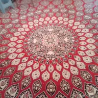 فرش دوازده متری|فرش|تاکستان, |دیوار