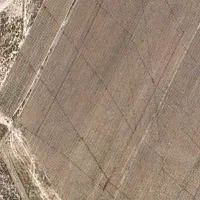 زمین-120متری