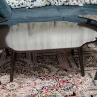 جلو مبلی و عسلی