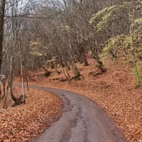 فروش زمین مرزن آباد دهکده ی زیبای باندر|فروش زمین و ملک کلنگی|مرزن‌آباد, |دیوار