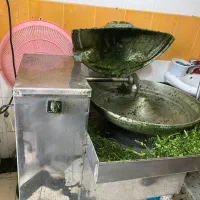 به یک خانم وارد به فروشندگی و خرد کردن سبزی