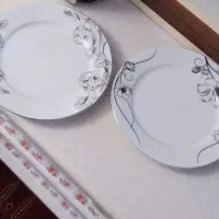 پیش دستی و دیس