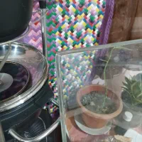 شیشه میز غذاخوری|میز و صندلی غذاخوری|صومعه‌سرا, |دیوار