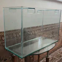 اکواریوم نو|ماهی|تهران, مسعودیه|دیوار