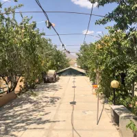 فروش باغ در شهید پرویزی سیاخ درانگون