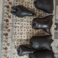 هیزه|خوردنی و آشامیدنی|کوزران, |دیوار