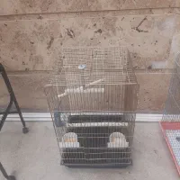 قفس|لوازم جانبی حیوانات|شیراز, پشم شیشه|دیوار