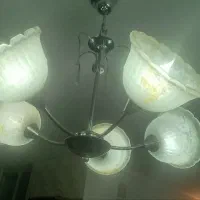 یک جفت لوستر ۵ شاخه