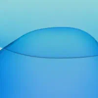 سواری دربست