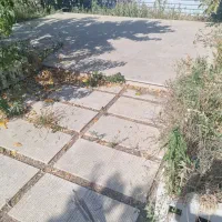 ملک و زمین|فروش زمین و ملک کلنگی|محمدشهر, محمدشهر|دیوار