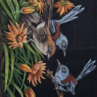 قاب عکس و آینه