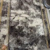 قالی ۶ متری دوساله خریدم وینتیج ۳عدد