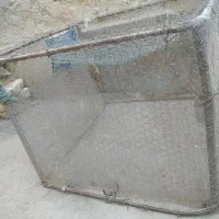 یک عددقفس معامله میشه باخرو س یا کبوتر