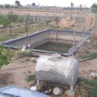 فروش فوری باغ|فروش دفتر صنعتی، کشاورزی، تجاری|بسطام, |دیوار