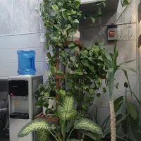 فروش-آپارتمان