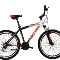 دوچرخه ویوا سناتور در سراب