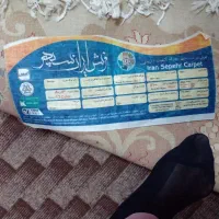 فرش ۱۲متری|فرش|رشت, کوی حسینی|دیوار