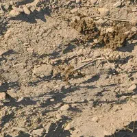 فروش زمین با موقعیت خوب لب جاده ۶هزار متر