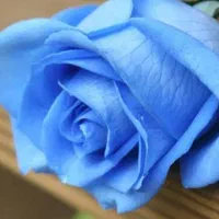 وام جانبازی