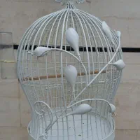قفس سهره ،قناری ،طوطی