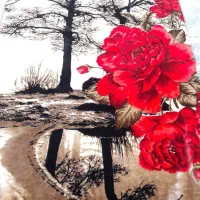 پتو یک نفره 850و 750|رختخواب، بالش، پتو|کرمانشاه, |دیوار