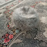 فروش کلاه روسی