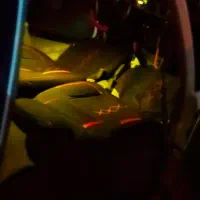 ماشین پراید مدل ۹۰|خودرو سواری و وانت|دهگلان, |دیوار