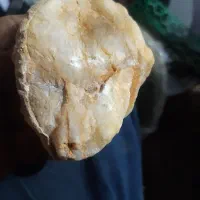 سنگ کلکسیونی