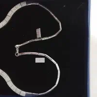گردنبند و گوشواره  رنگ ثابت استیل