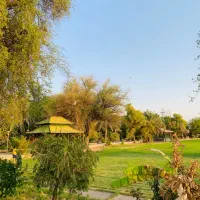 رهن دو هکتار زمین کشاورزی در حومه عبدالخان پایین