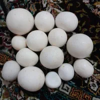 سنگ آسیاب الماس دار