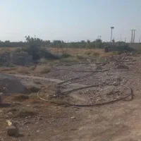 دامداری ۱۰ هزار متر/وام ۷ میلیاردی/چاه عمیق|فروش دفتر صنعتی، کشاورزی، تجاری|رامهرمز, |دیوار