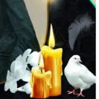 مداح  قاری  دعای کمیل ، دشتی و محلی ، زیارت عاشورا