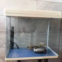 آکواریوم