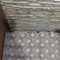 شونه تخم مرغ و کارتن تخم مرغ