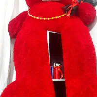 خرس|اسباب‌بازی بچه|تربت جام, حافظ|دیوار