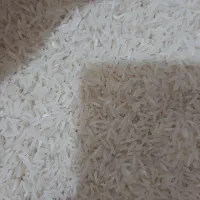 برنج فجر سوزنی|عمده‌فروشی|آق قلا, |دیوار