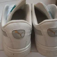 کتونی|کیف، کفش، کمربند|کرج, کوی مدرس|دیوار