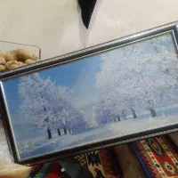 قاب عکس و تیرچوبی