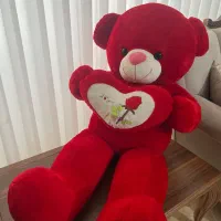 خرس پشمالو قرمز