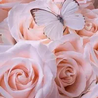 با سلام.استخدام پرستار مجرب و متعهد