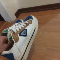 کفش ولف سایز ۴۲|کیف، کفش، کمربند|پرند, فاز ۵|دیوار