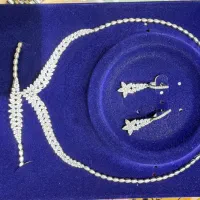 سرویس نقره اجاره ای